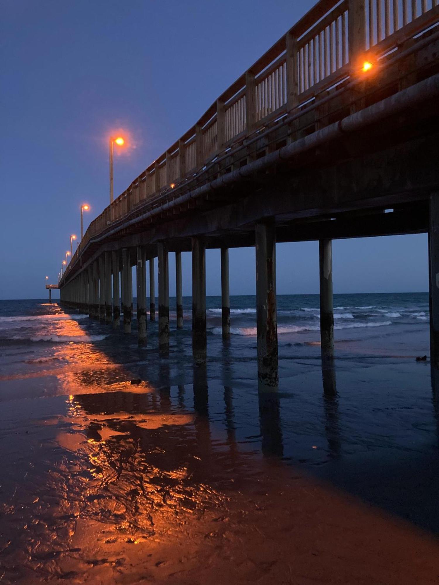 הוילה מירטל ביץ' 107 S Ocean Blvd, 0308 - Ocean Front Sleeps 6 מראה חיצוני תמונה